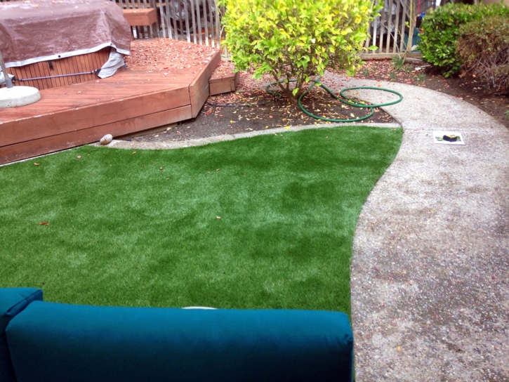 Synthetic Grass Cost Quail Valley, California Design Ideas, Small Backyard Ideas
