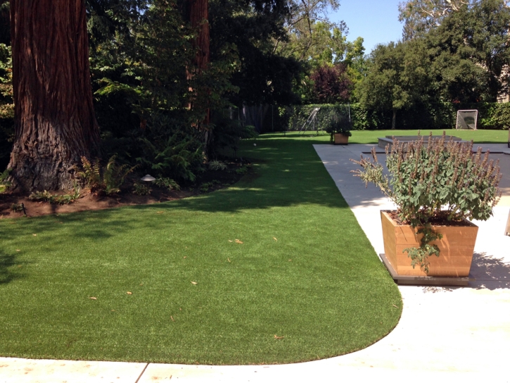 Synthetic Grass Cost Romoland, California Dog Park, Landscaping Ideas For Front Yard