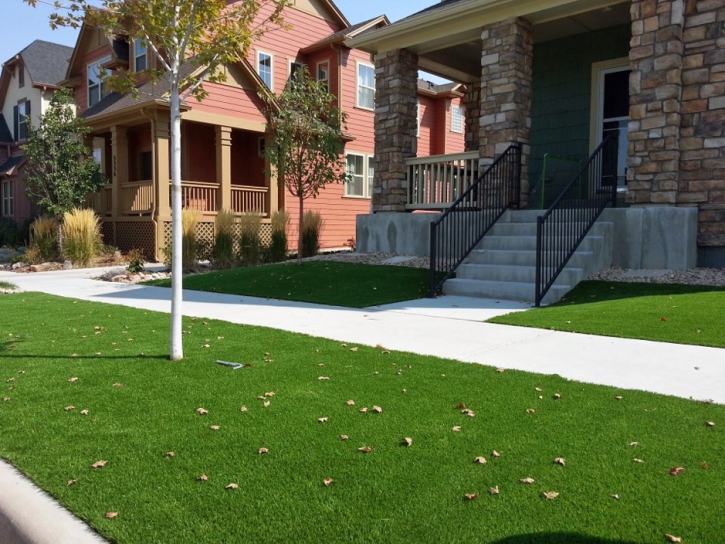 Synthetic Grass Cost San Jacinto, California Paver Patio, Front Yard