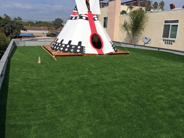 Synthetic Grass Desert Edge, California Rooftop, Patio