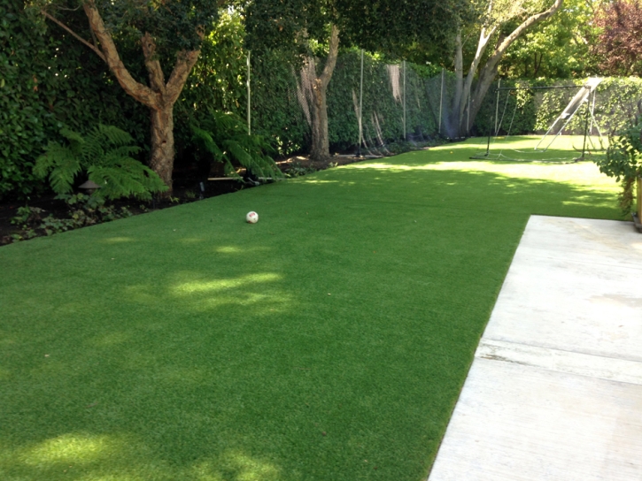 Synthetic Grass Romoland, California Artificial Turf For Dogs