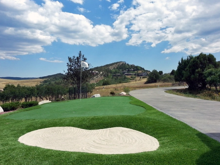 Synthetic Lawn Glen Avon, California Backyard Putting Green, Front Yard Ideas