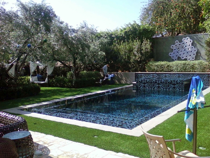 Synthetic Lawn Hemet, California Garden Ideas, Natural Swimming Pools