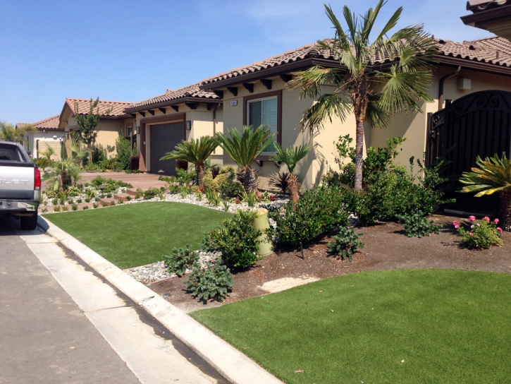 Synthetic Lawn Idyllwild-Pine Cove, California Landscape Photos, Front Yard