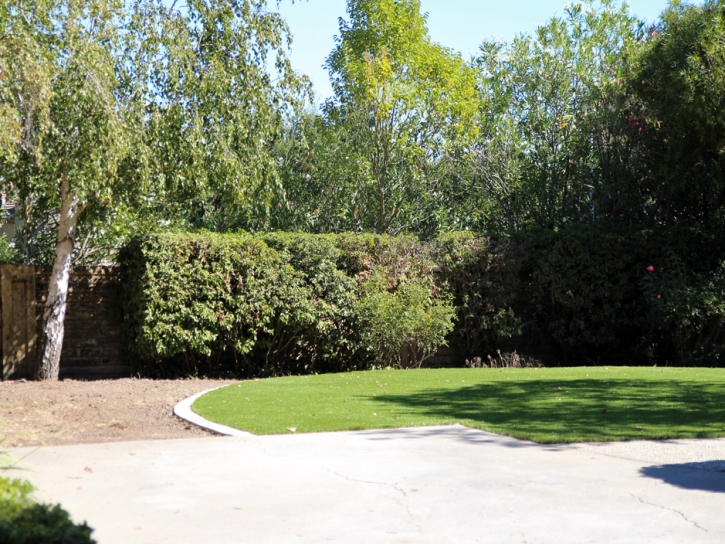 Synthetic Lawn Lake Elsinore, California Landscaping, Backyard Landscape Ideas