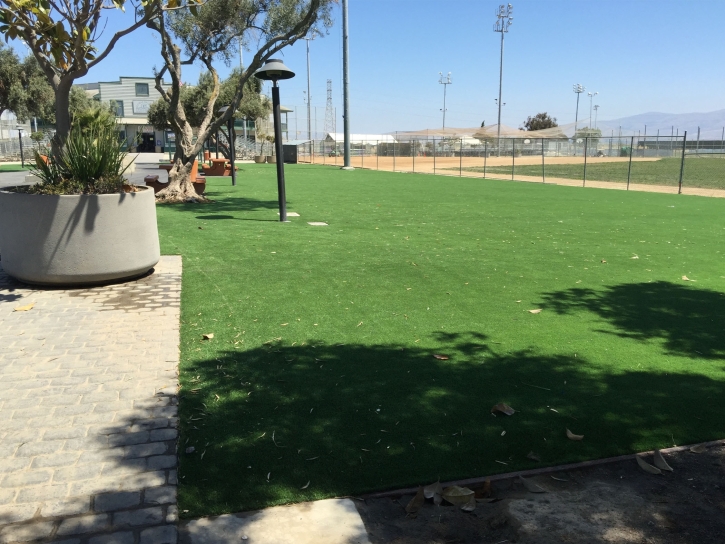 Synthetic Lawn Mecca, California Landscape Photos, Recreational Areas