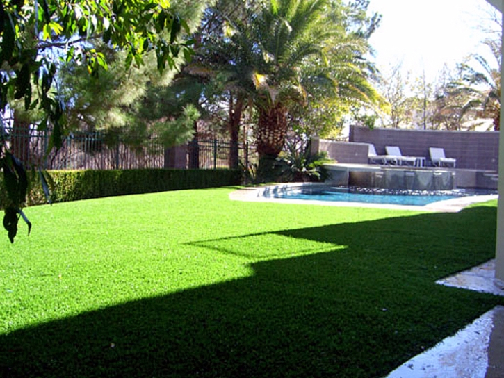 Synthetic Lawn Mira Loma, California Lawn And Garden, Small Backyard Ideas