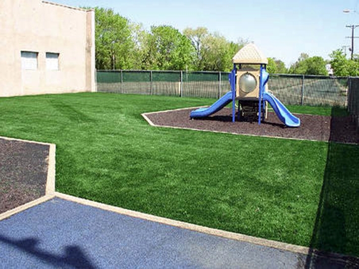 Synthetic Lawn San Jacinto, California Indoor Playground, Commercial Landscape