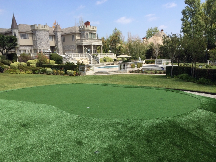 Synthetic Lawn Winchester, California Rooftop, Front Yard Landscaping Ideas