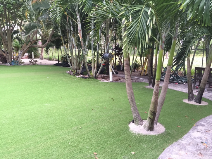 Synthetic Turf Bermuda Dunes, California Lawns, Commercial Landscape