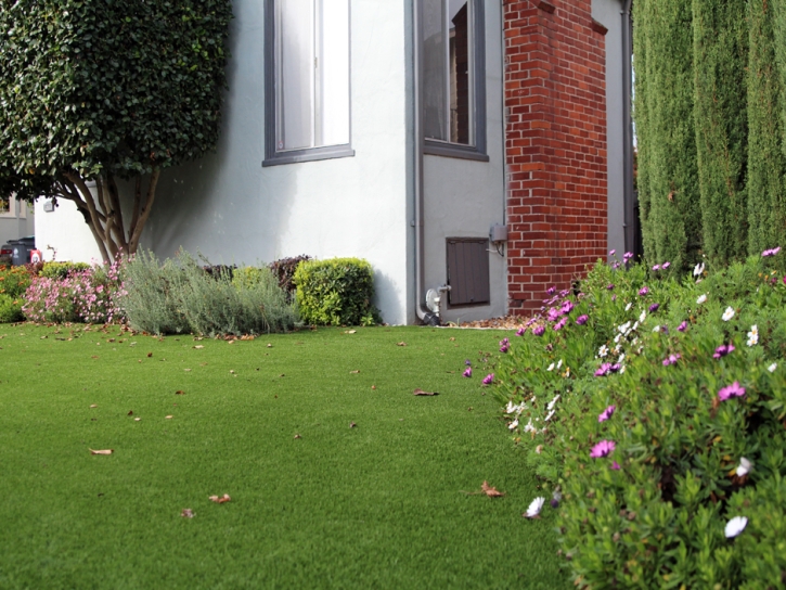 Synthetic Turf Desert Center, California Lawns, Front Yard Design