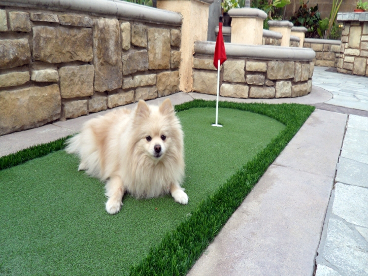 Synthetic Turf East Hemet, California How To Build A Putting Green, Backyard Ideas