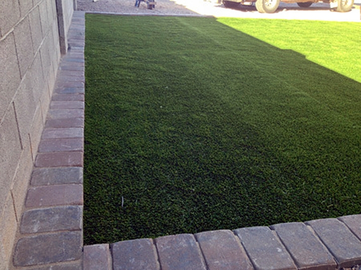 Synthetic Turf Good Hope, California Dog Park, Landscaping Ideas For Front Yard
