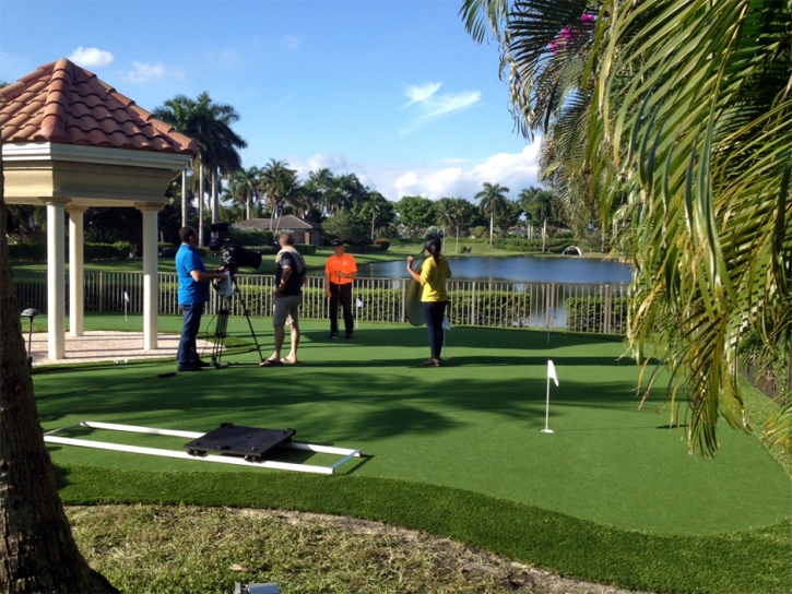 Synthetic Turf Green Acres, California Backyard Putting Green, Backyard