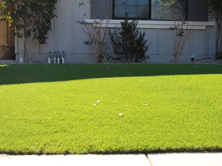 Synthetic Turf Norco, California Landscape Photos, Landscaping Ideas For Front Yard