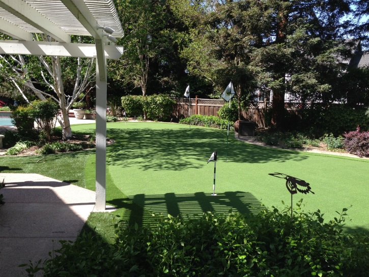 Synthetic Turf Palm Desert, California Landscaping Business