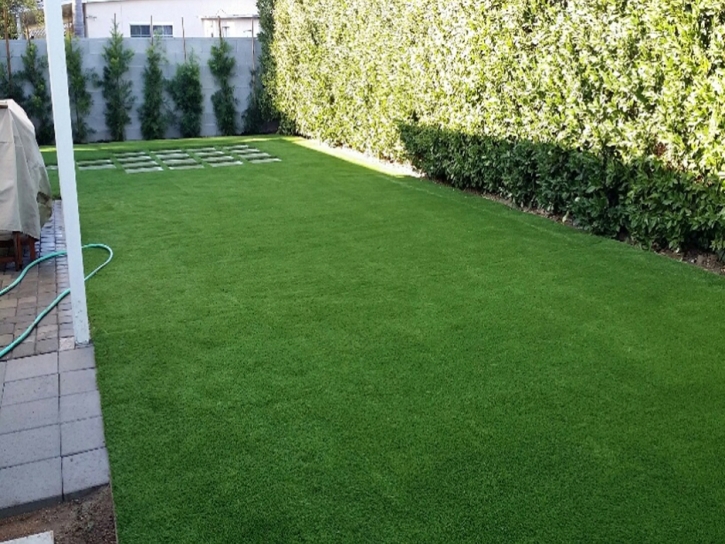 Synthetic Turf Perris, California Garden Ideas, Backyard Garden Ideas