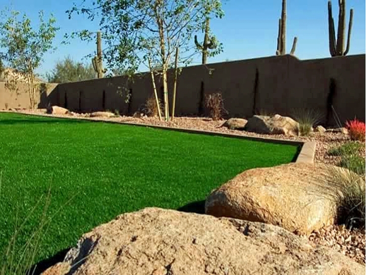 Synthetic Turf Rancho Mirage, California City Landscape, Backyard Makeover