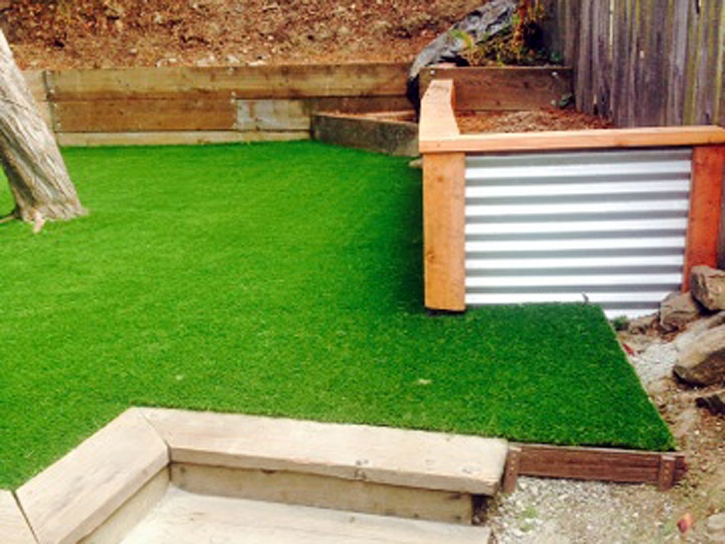 Synthetic Turf Rubidoux, California Landscape Ideas, Backyard