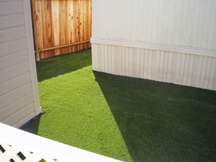 Synthetic Turf Supplier Desert Center, California Lawn And Garden, Backyard Makeover