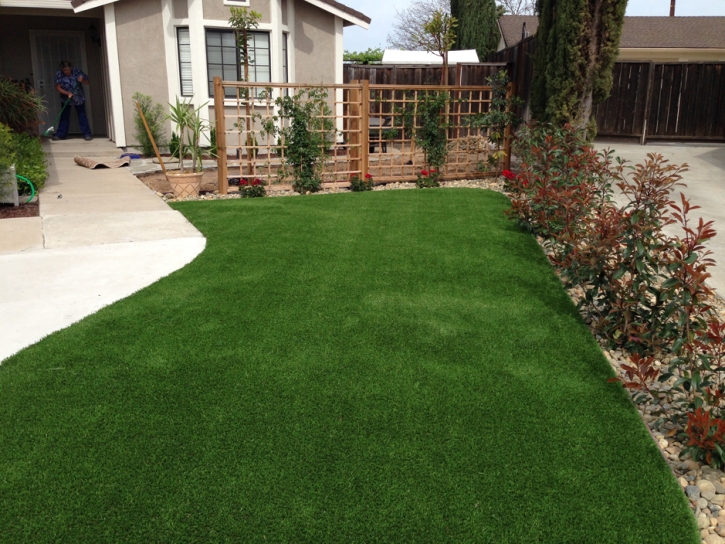 Synthetic Turf Supplier Home Gardens, California Design Ideas, Front Yard Ideas