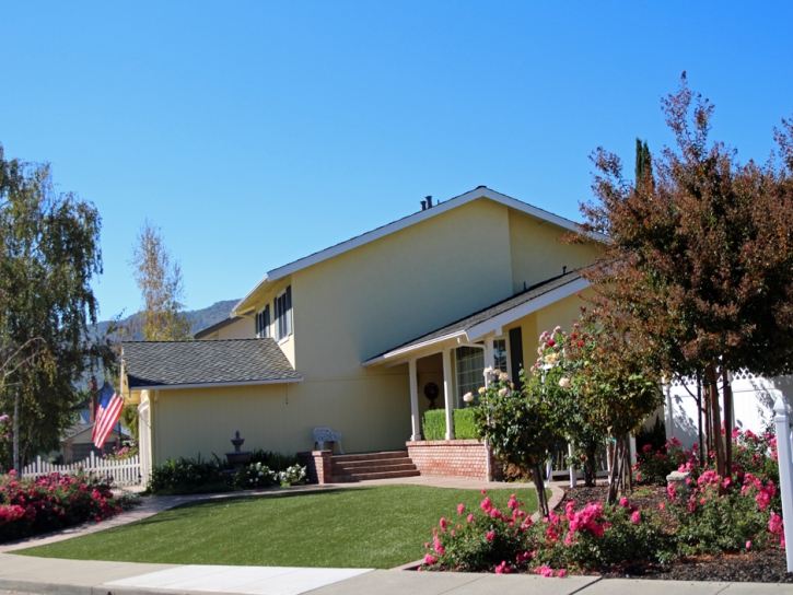 Synthetic Turf Supplier Homeland, California Roof Top, Small Front Yard Landscaping