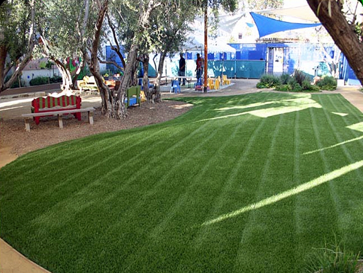 Synthetic Turf Supplier La Quinta, California Landscape Design, Commercial Landscape