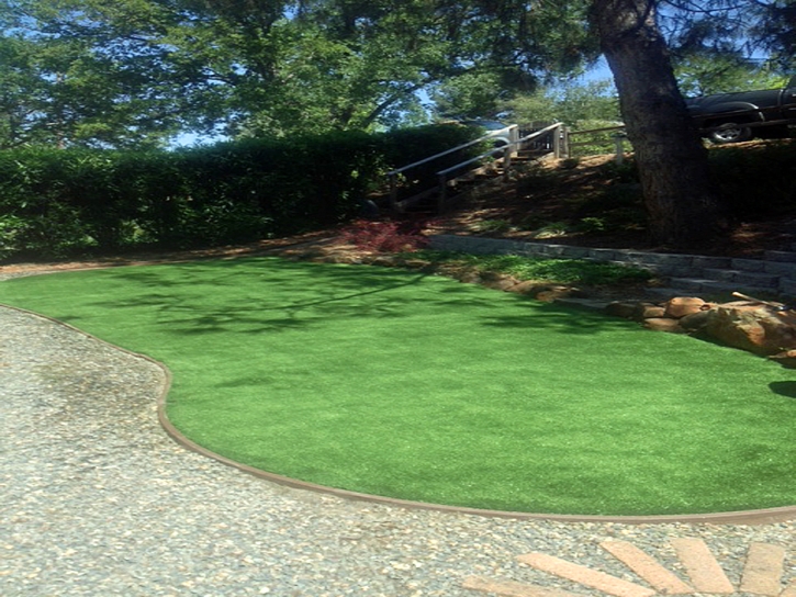 Synthetic Turf Supplier March Air Force Base, California Landscaping, Backyard Landscaping Ideas