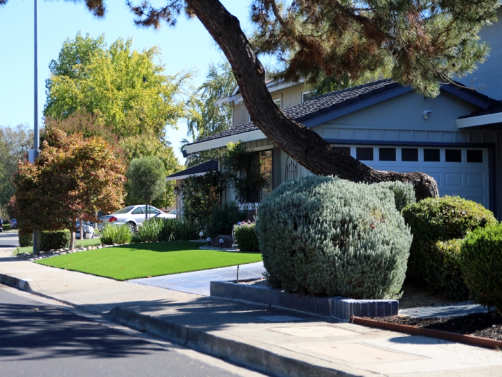 Synthetic Turf Supplier Mead Valley, California Landscape Ideas, Small Front Yard Landscaping