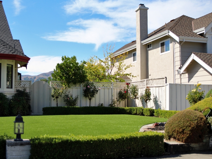 Synthetic Turf Supplier Mira Loma, California Design Ideas, Front Yard Landscaping