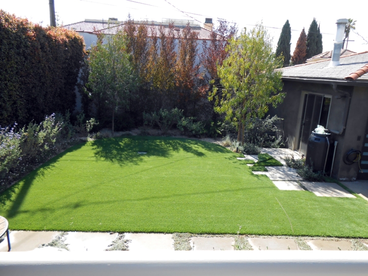 Synthetic Turf Supplier Oasis, California Landscape Ideas, Backyard Landscaping