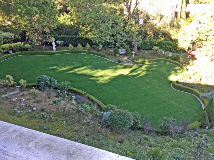 Synthetic Turf Supplier Pedley, California Pet Paradise, Backyard Landscaping Ideas