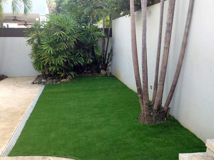 Synthetic Turf Supplier Pedley, California Landscaping Business, Backyard Design