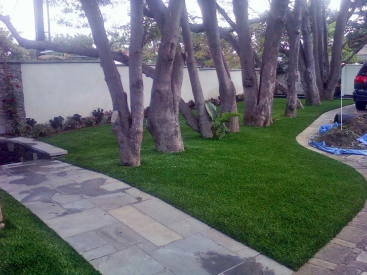 Synthetic Turf Supplier Vista Santa Rosa, California Landscape Design, Landscaping Ideas For Front Yard