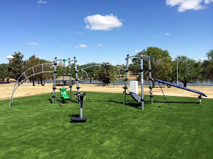 Turf Grass Banning, California Playground Safety, Recreational Areas