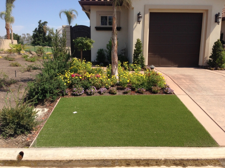 Turf Grass Idyllwild, California Landscape Design, Front Yard Ideas