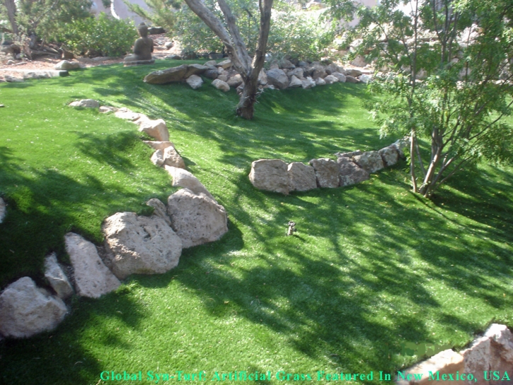 Turf Grass Idyllwild, California Landscaping, Commercial Landscape