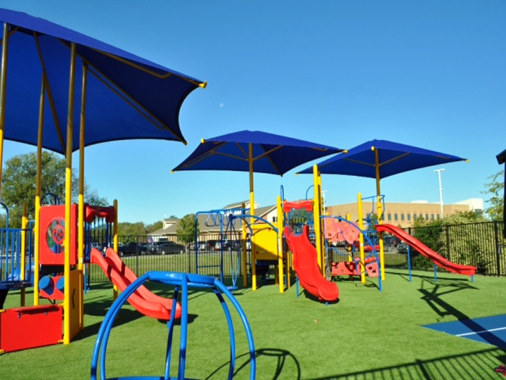 Turf Grass Mecca, California Indoor Playground, Recreational Areas