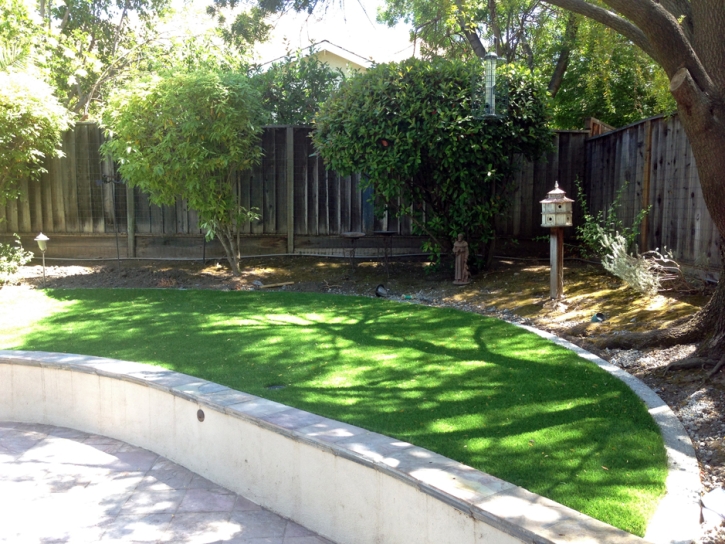 Turf Grass Mesa Verde, California Home And Garden, Commercial Landscape