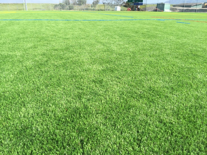 Turf Grass Mortmar, California Bocce Ball Court